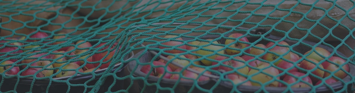 Installation Guide: How to Tie a Cargo Net Onto Your Truck