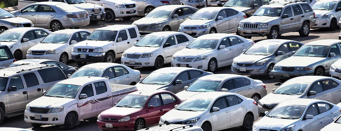 Car Lot Sun Protection