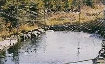 Predator control net