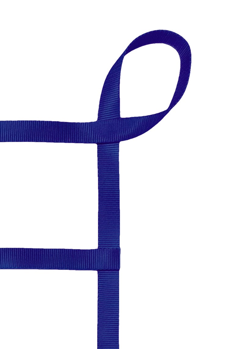 1" Webbing Cargo Net With Loops corner detail - Blue