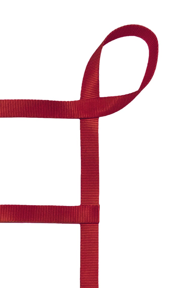 1" Webbing Cargo Net With Loops corner detail - Red