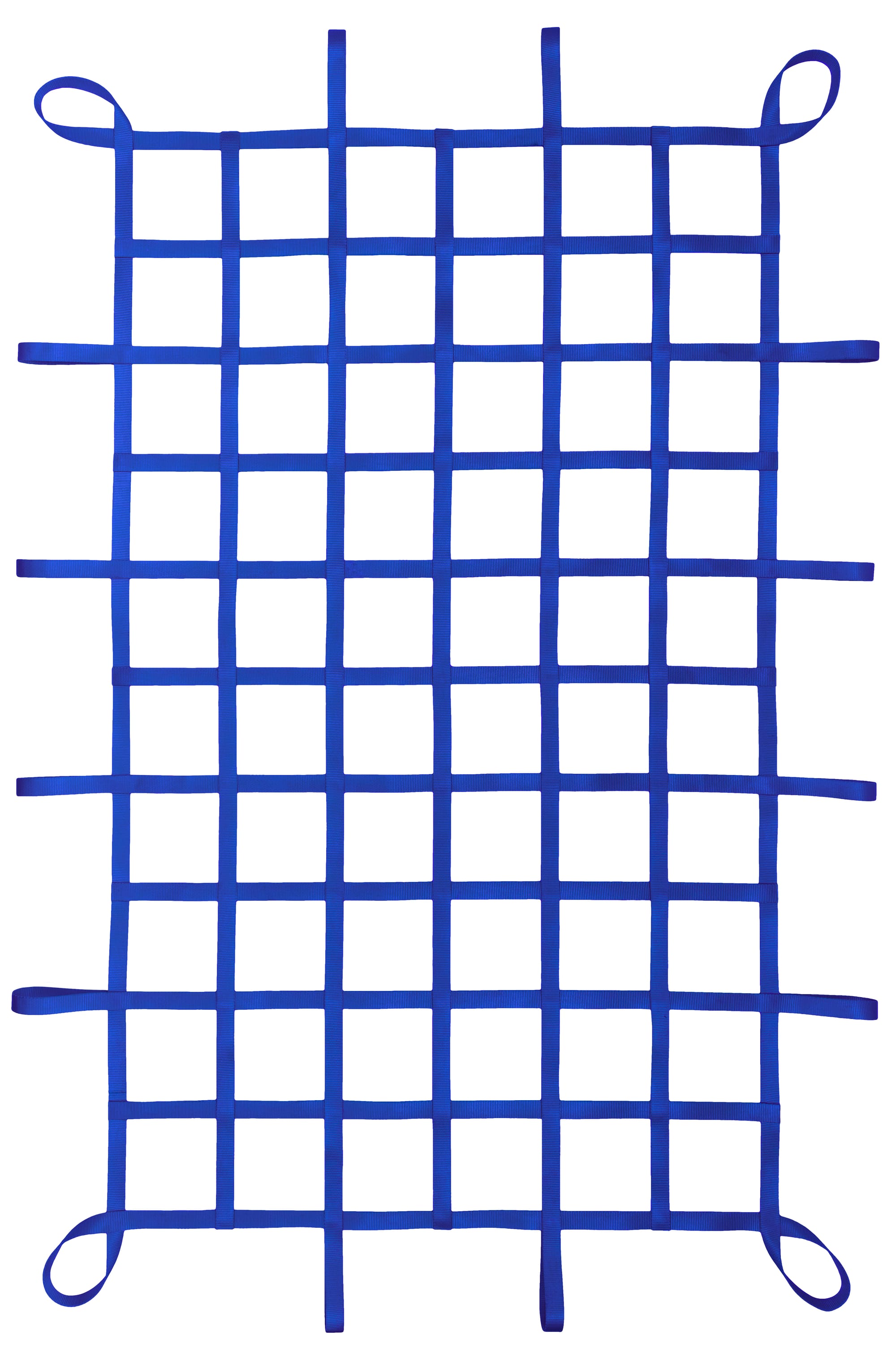 1" Webbing Cargo Net With Loops - Blue