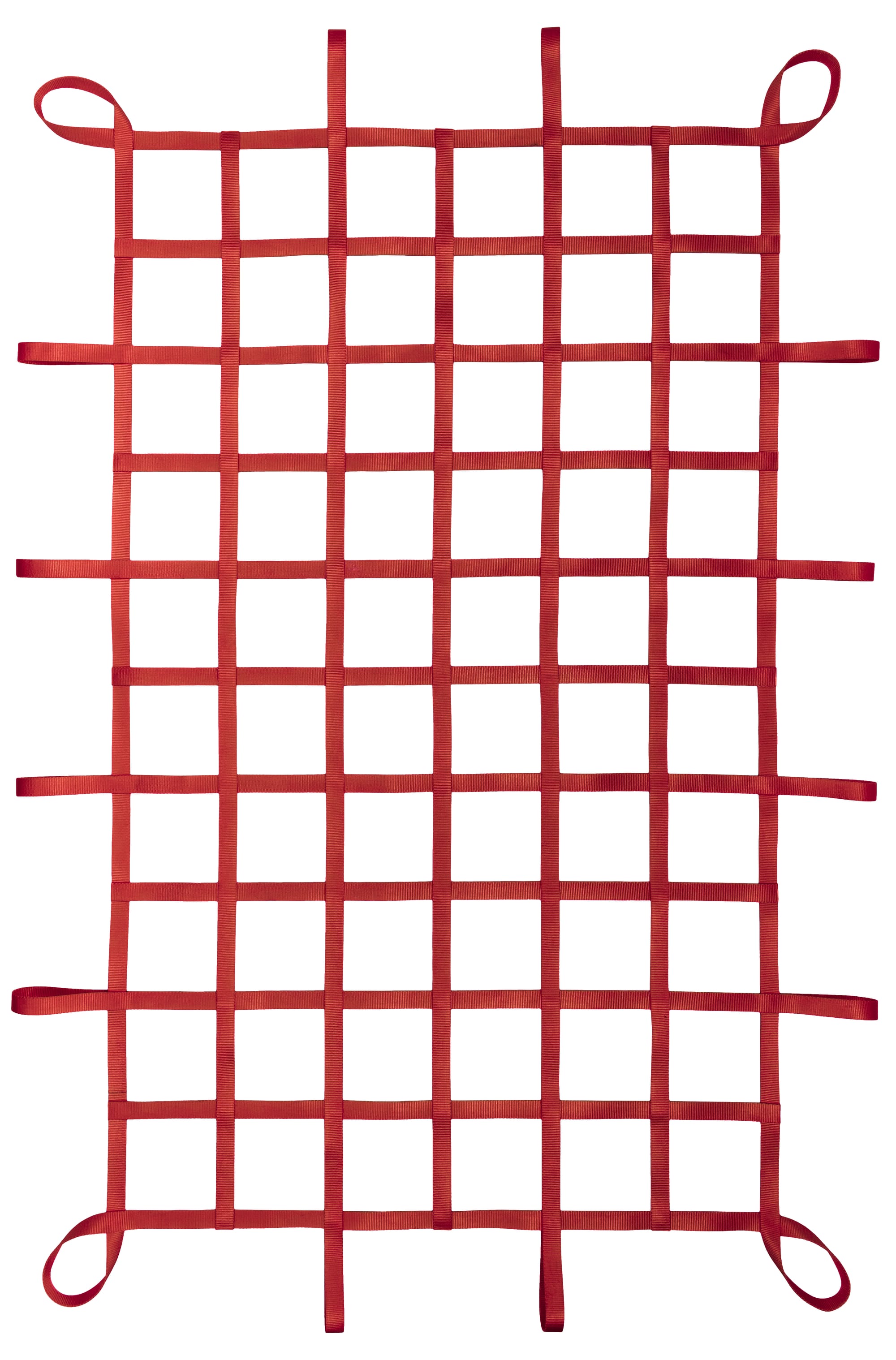 1" Webbing Cargo Net With Loops - Red