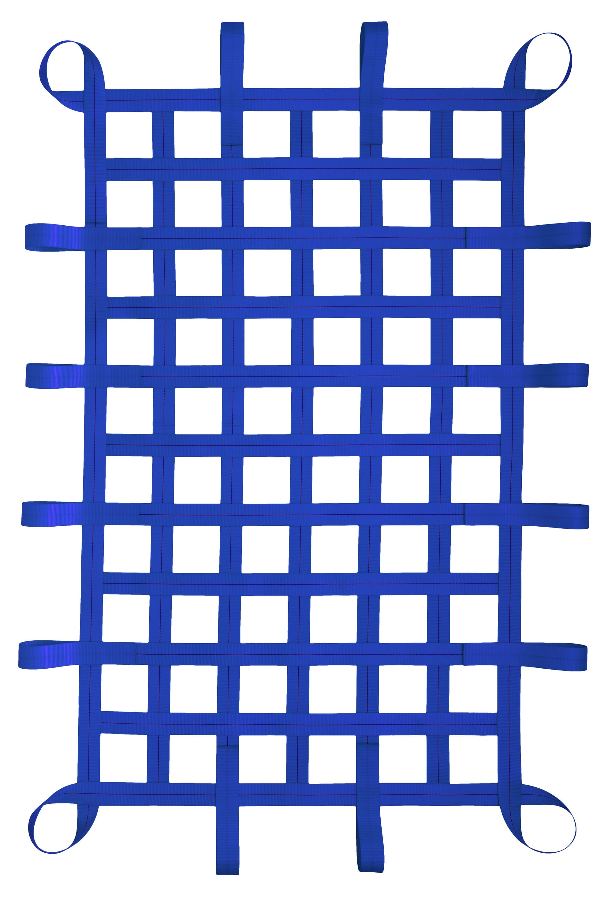 2" Webbing Cargo Net With Loops - Blue