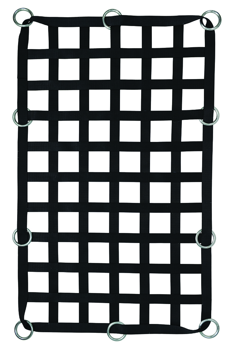 2" Webbing Cargo Net With Rings
