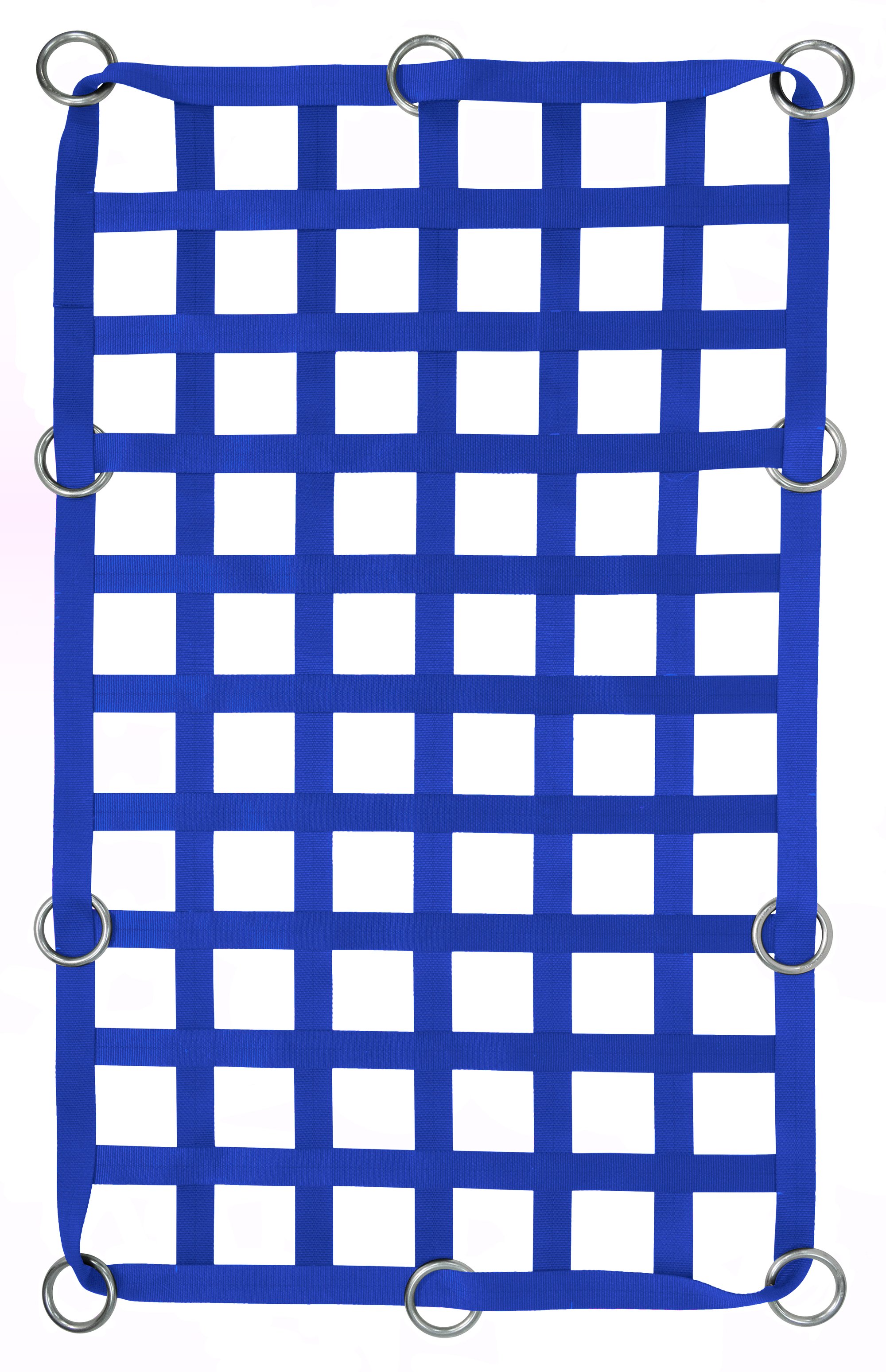 2" Webbing Cargo Net With Rings - Blue