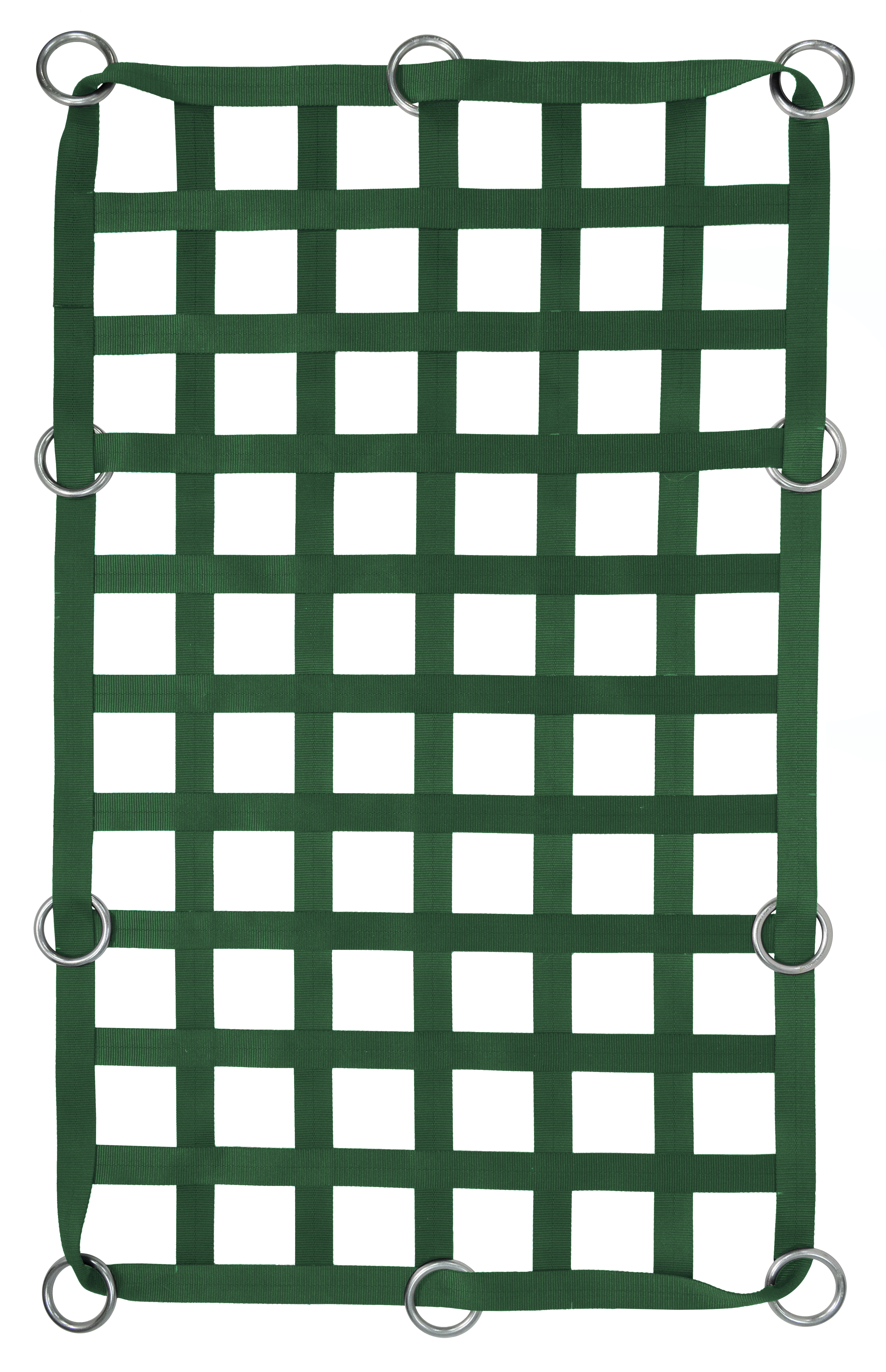 2" Webbing Cargo Net With Rings - Green
