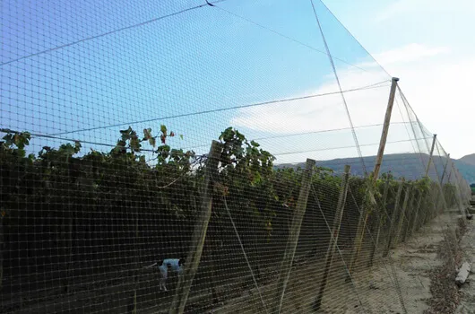 Heavy Duty Crop Protection Netting