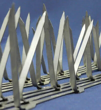 Close-up of bird spike installation