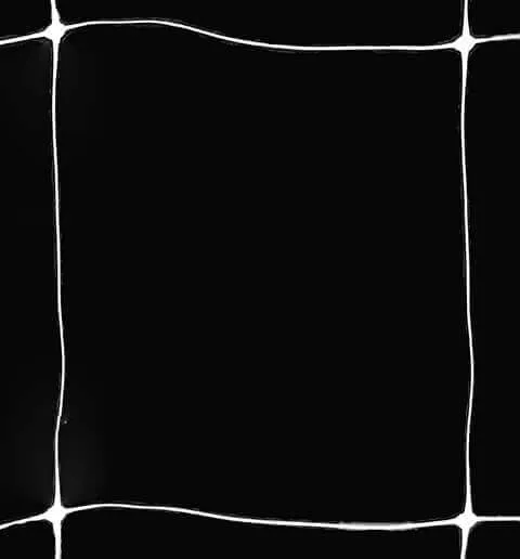 6 inch trellis netting close-up view