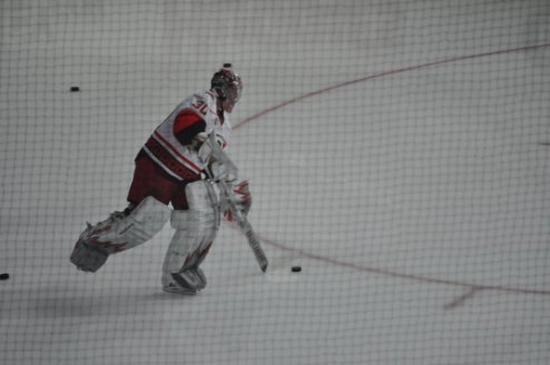 Hockey Safety Netting close-up detail