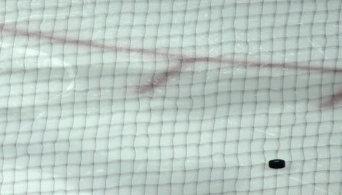 Hockey Safety Netting mesh pattern
