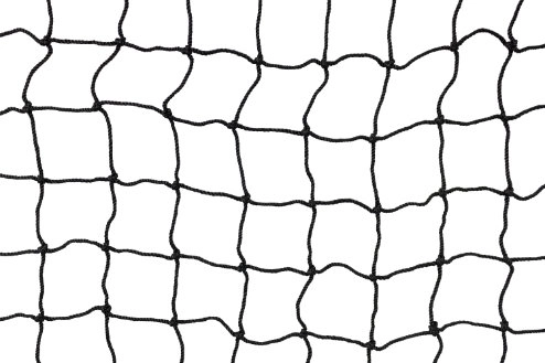Hockey Safety Netting full arena view