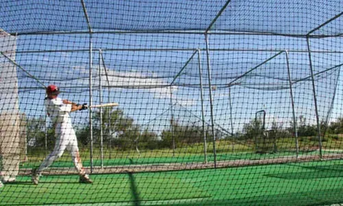 Professional batting cage