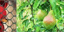 Agricultural & Pest Control