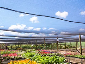 Shade cloth garden application