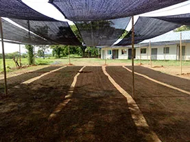 Shade cloth pergola cover