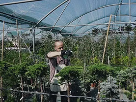 Shade cloth commercial