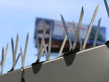 Bird spikes atop a wall, with a blurry billboard in the background under a clear sky