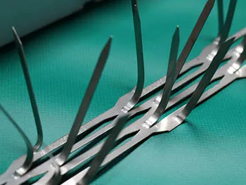 A close up of bird spikes on a green surface.