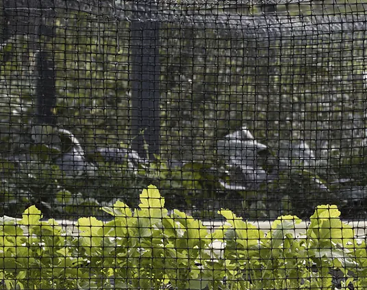 Plastic Agriculture Netting