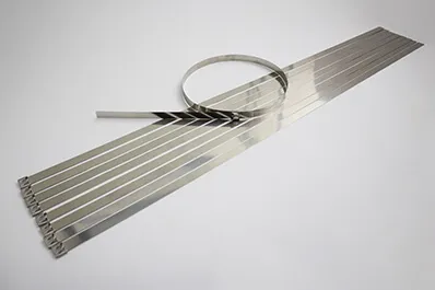 Stainless Steel Zip Ties