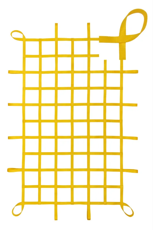 1 Inch Webbing Cargo Net with Loops