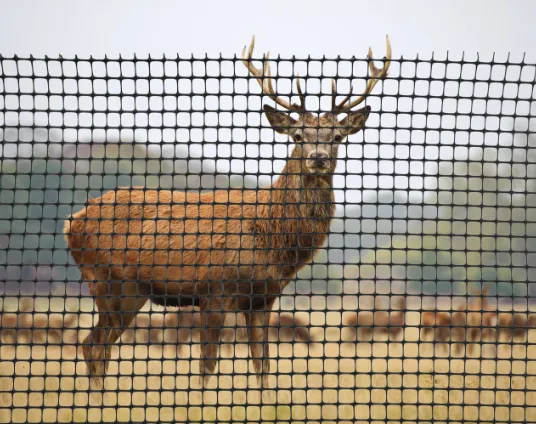 Heavy Duty Plastic Deer Fence